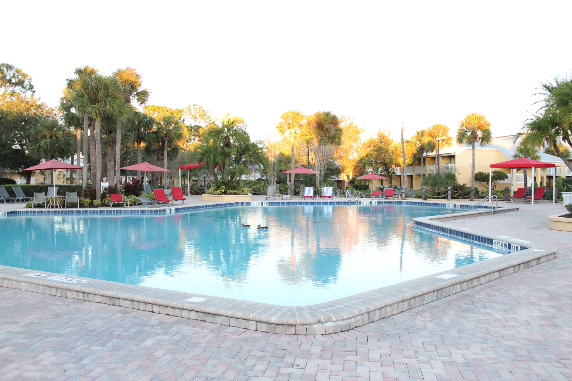 The pool at Wyndham Orlando Resort International Drive