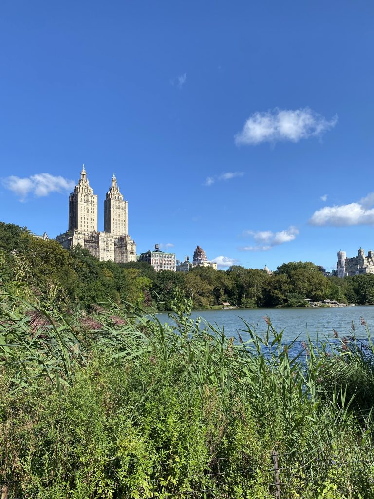 Central Park NYC