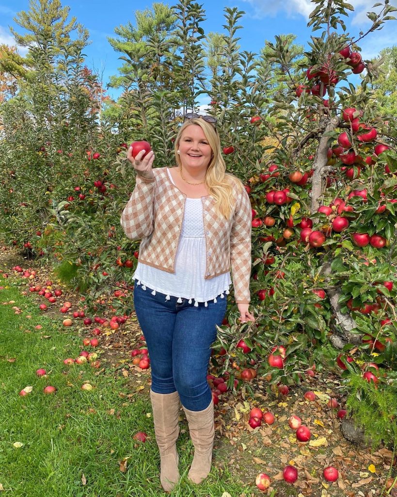 Apple Orchard in CT